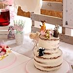 recette Naked cake Bambi