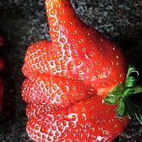 recette CUISINER=ETRE HEUREUX !!!