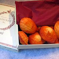 recette madeleines