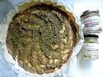 tarte au from d'abbaye (1)