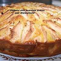 recette Gâteau aux pommes extra.