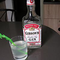 recette Gin Fizz