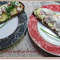 recette Tartine nordique au hareng