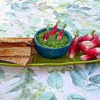 recette Pesto aux fanes de radis