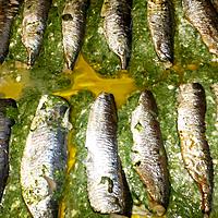 recette Filets de sardines farcis aux blettes et fromage