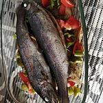 recette Truites à la Provençale