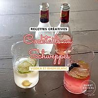 recette Cocktails au Schweppes Premium