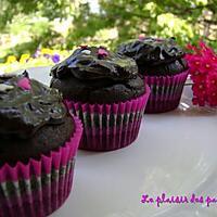 recette ~Cupcakes au chocolat noir~ 