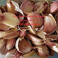 recette Conservation Ail, une autre méthode.