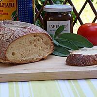 recette Pain au Levain Sans Gluten