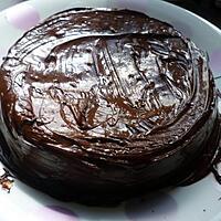 recette Gâteau fondant glacé au chocolat