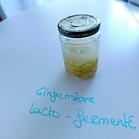 recette Gingembre lactofermenté