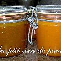 recette Duo de coulis