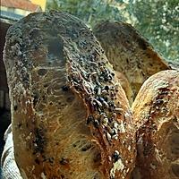 recette Mes p'tits pains aux graines