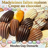 recette Madeleines moelleuses  coque chocolat