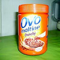 recette yaourt ovomaltine