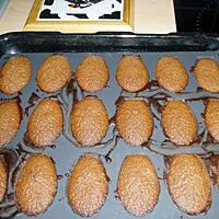 recette madeleine au chocolat