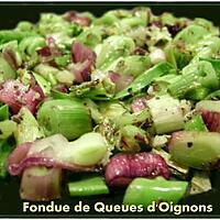 recette Fondue de Queue d'oignons