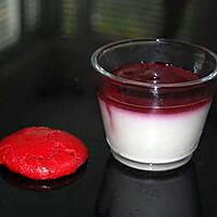 recette Un dessert léger: Panna Cotta légère aux fruits rouges pour 1 point Weight Watchers