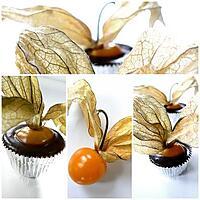 recette PETITES BOUCHEES D'AMOUR EN CAGE AU CHOCOLAT (PHYSALIS)