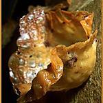 recette Corolles de Caramel aux Noix