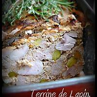 recette TERRINE DE LAPIN, PISTACHES ET ZESTES D'ORANGES