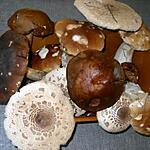 recette CHAMPIGNONS POELES DE SAISON