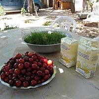 recette confiture de prunes rouges façon joeyyy !