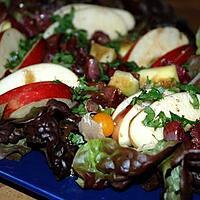 recette Salade de gésiers confits avec sa pomme et sa mangue