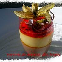 recette verrine de mousse des tropic