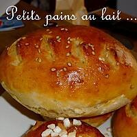 recette Ooo Petits pains au lait salés ou sucrés ooO