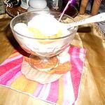 recette Glace a la péche thermonix