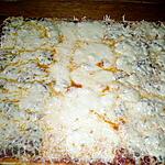 recette pizza champignon,mozza,poivrons