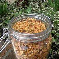 recette céréals maison 100% bio