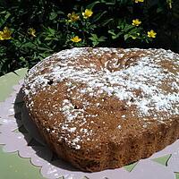 recette Gateau au cacao simplissime