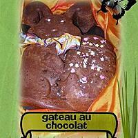 recette gateau au chocolat