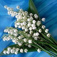 recette Un petit brin de muguet, juste pr le plaisir