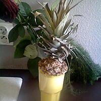 recette Jus d'ananas frais centrifugeuse