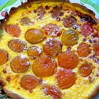 recette Tarte aux abricots ( pâte à tarte petits-suisses)