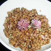 recette SALADE DE LENTILLES