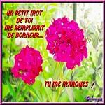 recette 1 personne