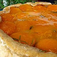 recette Ooo Tatin d'abricots au romarin, pâte brisée noisette ooO