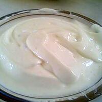 recette mayonnaise sans oeufs: