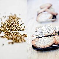 recette Crackers pavot chanvre