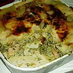 recette lasagnes saumon-oseille