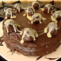 recette gateau aux truffes pour l anniversaire de theo