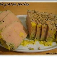 recette foie gras mi-cuit en terrine
