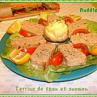 recette Terrine de thon et saumon