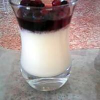 recette Panna cotta aux fruits rouges