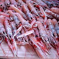 recette langoustines